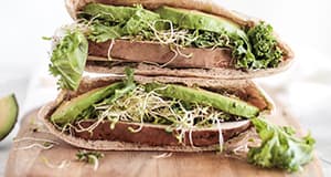 Kasvissyöjän vitamiinit