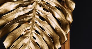 Mikä ihmeen Solgar Gold Standard™ ?